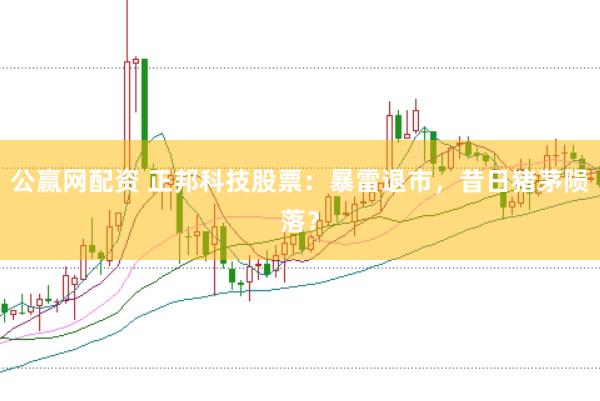 公赢网配资 正邦科技股票:暴雷退市,昔日猪茅陨落?