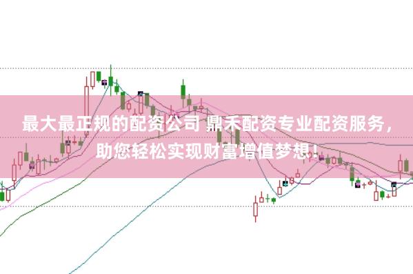 最大最正规的配资公司 鼎禾配资专业配资服务,助您轻松实现财富增值梦想!